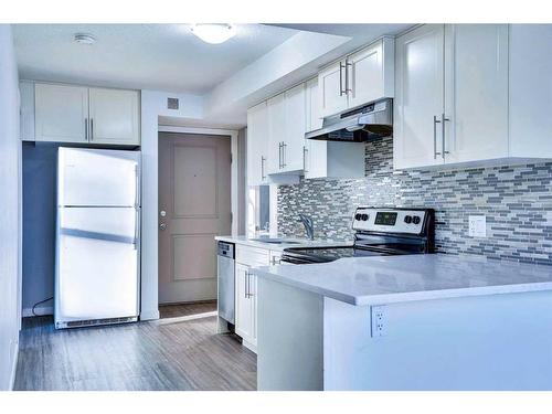 201-1820 9 Street Sw, Calgary, AB - Indoor Photo Showing Kitchen With Upgraded Kitchen