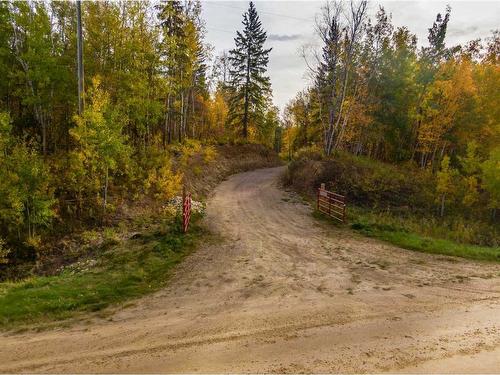 54129 Range Road 280, Rural Parkland County, AB 