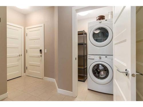 313-145 Burma Star Road Sw, Calgary, AB - Indoor Photo Showing Laundry Room