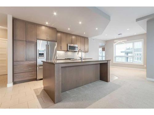 313-145 Burma Star Road Sw, Calgary, AB - Indoor Photo Showing Kitchen With Stainless Steel Kitchen With Upgraded Kitchen