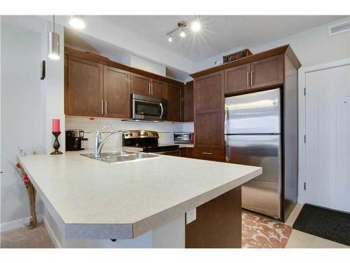 322-20 Royal Oak Plaza Nw, Calgary, AB - Indoor Photo Showing Kitchen With Double Sink