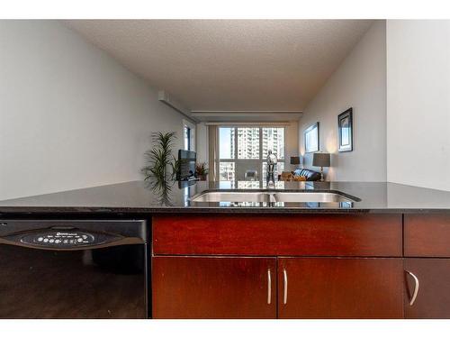 505-8880 Horton Road Sw, Calgary, AB - Indoor Photo Showing Kitchen With Double Sink