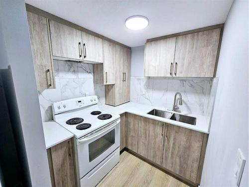 69 Castleglen Road Ne, Calgary, AB - Indoor Photo Showing Kitchen With Double Sink