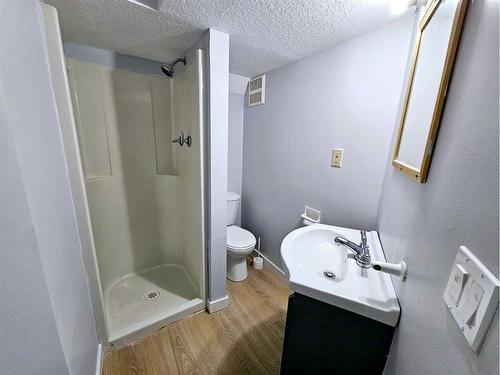 69 Castleglen Road Ne, Calgary, AB - Indoor Photo Showing Bathroom