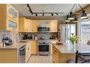 407 Whiteridge Crescent Ne, Calgary, AB  - Indoor Photo Showing Kitchen 