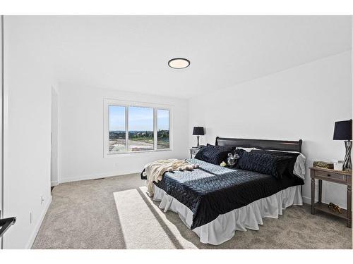 935 Langholm Drive Se, Airdrie, AB - Indoor Photo Showing Bedroom