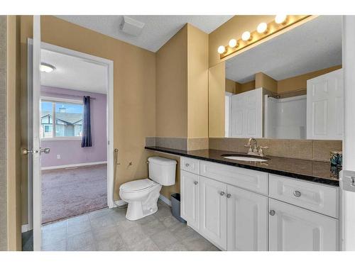 118 Royal Birch Villas Nw, Calgary, AB - Indoor Photo Showing Bathroom