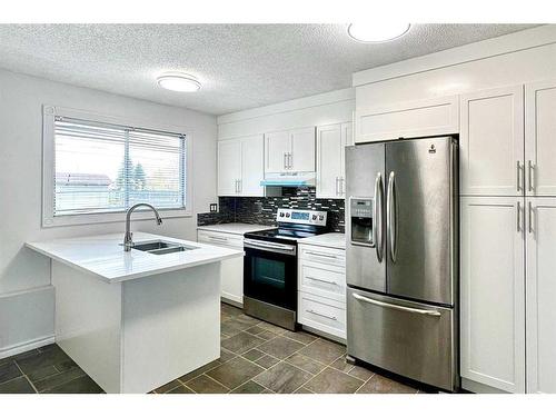 74 Pennsburg Way Se, Calgary, AB - Indoor Photo Showing Kitchen With Stainless Steel Kitchen With Double Sink