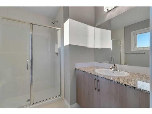 21462 Sheriff King Street Sw, Calgary, AB - Indoor Photo Showing Bathroom