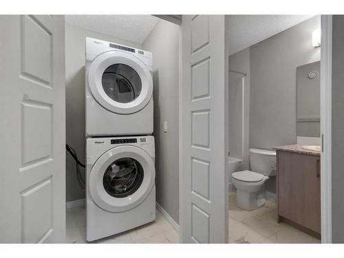 21462 Sheriff King Street Sw, Calgary, AB - Indoor Photo Showing Laundry Room