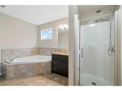 73 Kingsbridge Place Se, Airdrie, AB - Indoor Photo Showing Bathroom