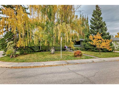 46 Windermere Road Sw, Calgary, AB - Outdoor