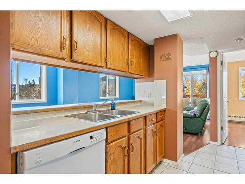 401-2011 University Drive Nw, Calgary, AB - Indoor Photo Showing Kitchen With Double Sink