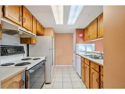 401-2011 University Drive Nw, Calgary, AB - Indoor Photo Showing Kitchen With Double Sink