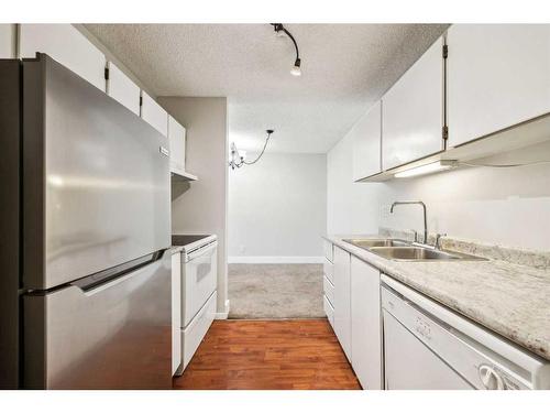 307-1915 26 Street Sw, Calgary, AB - Indoor Photo Showing Kitchen With Double Sink