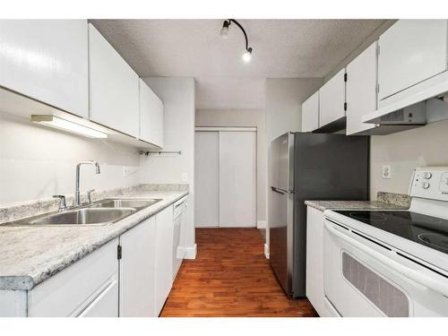 307-1915 26 Street Sw, Calgary, AB - Indoor Photo Showing Kitchen With Double Sink