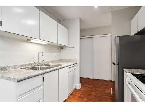 307-1915 26 Street Sw, Calgary, AB - Indoor Photo Showing Kitchen With Double Sink