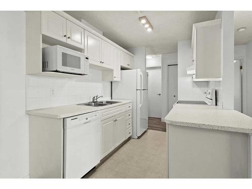 302-835 19 Avenue Sw, Calgary, AB - Indoor Photo Showing Kitchen With Double Sink