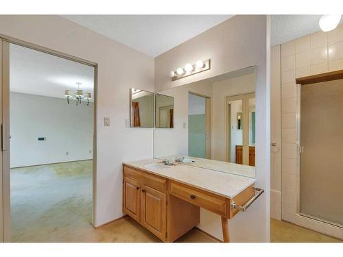 359 Willow Ridge Place Se, Calgary, AB - Indoor Photo Showing Bathroom