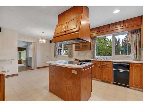 359 Willow Ridge Place Se, Calgary, AB - Indoor Photo Showing Kitchen