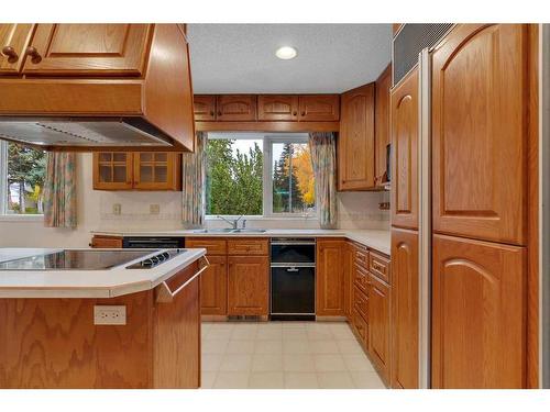 359 Willow Ridge Place Se, Calgary, AB - Indoor Photo Showing Kitchen With Double Sink