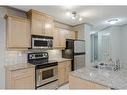 309-2233 34 Avenue Sw, Calgary, AB  - Indoor Photo Showing Kitchen With Stainless Steel Kitchen With Double Sink 