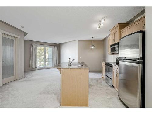 309-2233 34 Avenue Sw, Calgary, AB - Indoor Photo Showing Kitchen With Stainless Steel Kitchen