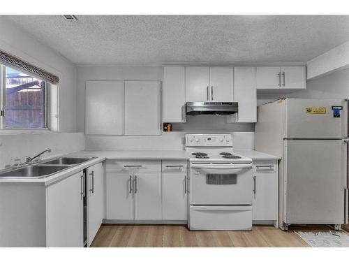 111 Martinwood Place Ne, Calgary, AB - Indoor Photo Showing Kitchen With Double Sink