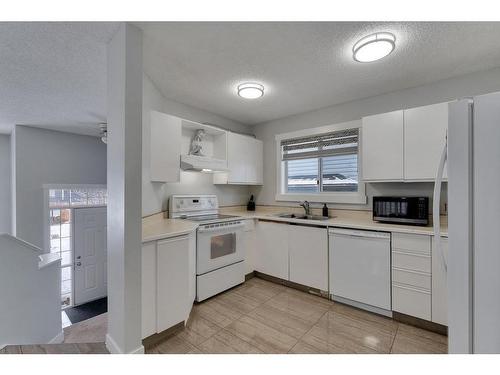 111 Martinwood Place Ne, Calgary, AB - Indoor Photo Showing Kitchen With Double Sink