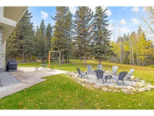 233107 Wintergreen Road, Rural Rocky View County, AB - Outdoor With Backyard