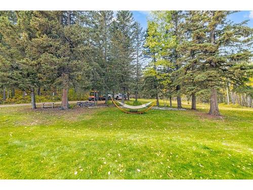 233107 Wintergreen Road, Rural Rocky View County, AB - Outdoor With View