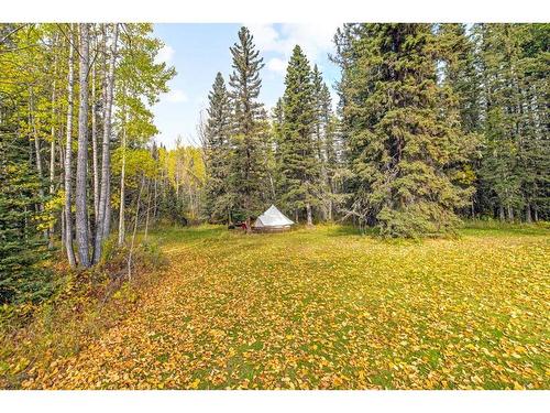 233107 Wintergreen Road, Rural Rocky View County, AB - Outdoor