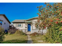 167 Whitaker Close NE Calgary, AB T1Y 5K2