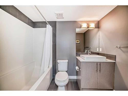 7315-302 Skyview Ranch Drive Ne, Calgary, AB - Indoor Photo Showing Bathroom