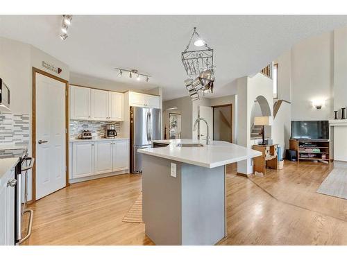 234 Mt Assiniboine Place Se, Calgary, AB - Indoor Photo Showing Kitchen With Stainless Steel Kitchen With Upgraded Kitchen