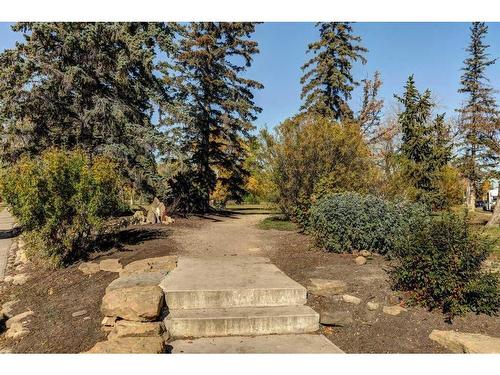 738 Crescent Road Nw, Calgary, AB - Outdoor