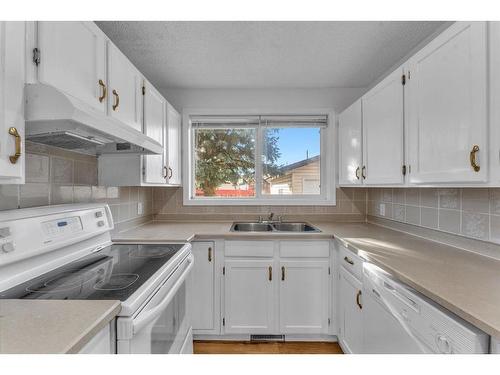 23 Falshire Close Ne, Calgary, AB - Indoor Photo Showing Kitchen With Double Sink