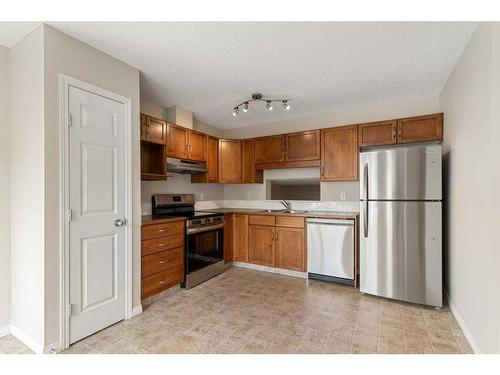 213 Copperfield Boulevard Se, Calgary, AB - Indoor Photo Showing Kitchen With Stainless Steel Kitchen With Double Sink