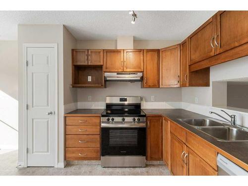 213 Copperfield Boulevard Se, Calgary, AB - Indoor Photo Showing Kitchen With Double Sink