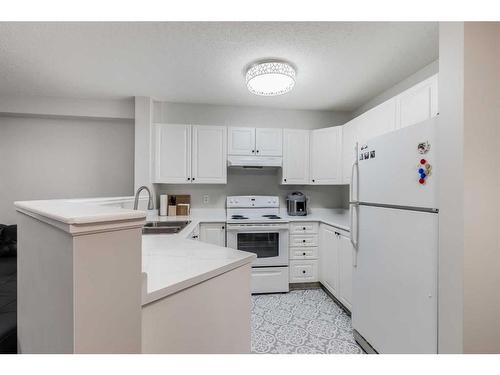 5107-604 8 Street Sw, Airdrie, AB - Indoor Photo Showing Kitchen With Double Sink