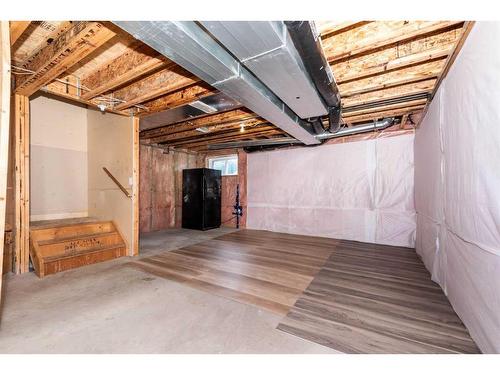 16 Saddletree Court Ne, Calgary, AB - Indoor Photo Showing Basement