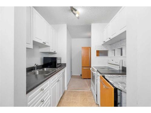 312-1919 36 Street Sw, Calgary, AB - Indoor Photo Showing Kitchen With Double Sink