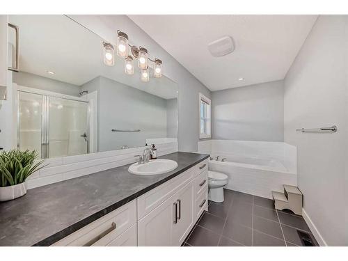 2120 Reunion Square Nw, Airdrie, AB - Indoor Photo Showing Bathroom