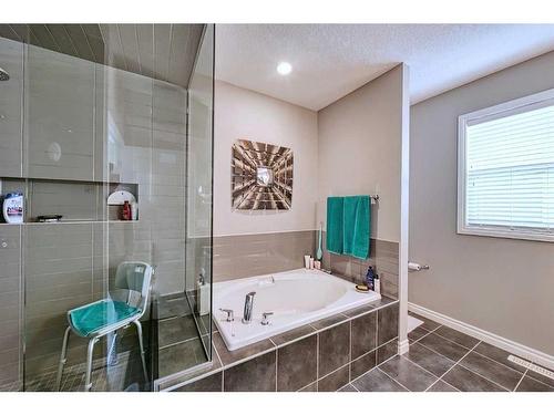 14 Riviera Point, Cochrane, AB - Indoor Photo Showing Bathroom