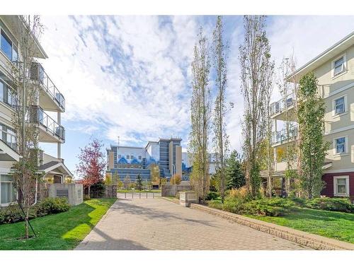 212-28 Auburn Bay Link Se, Calgary, AB - Outdoor