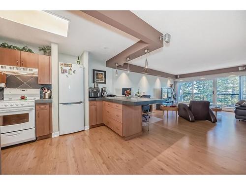 204-328 Cedar Crescent Sw, Calgary, AB - Indoor Photo Showing Kitchen