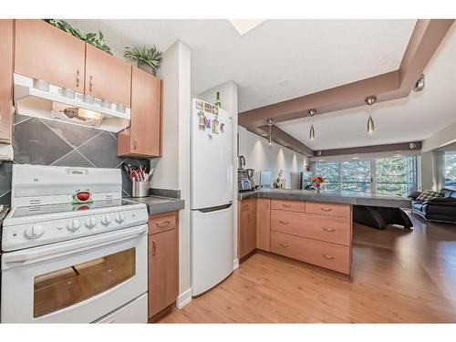 204-328 Cedar Crescent Sw, Calgary, AB - Indoor Photo Showing Kitchen