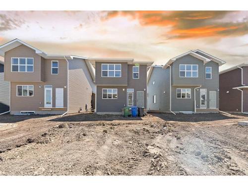 119 Dawson Wharf Rise, Chestermere, AB - Outdoor