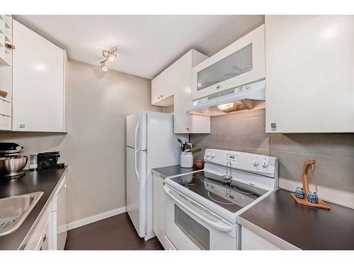 554 Whitehill Place Ne, Calgary, AB - Indoor Photo Showing Kitchen With Double Sink