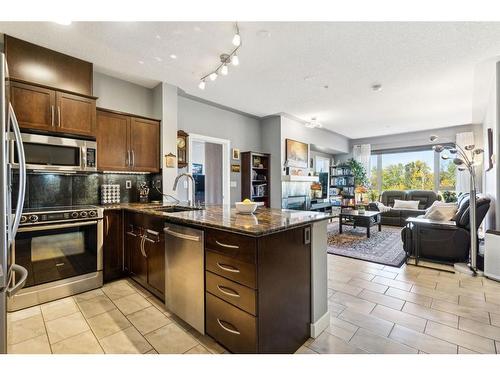 303-35 Inglewood Park Se, Calgary, AB - Indoor Photo Showing Kitchen With Stainless Steel Kitchen